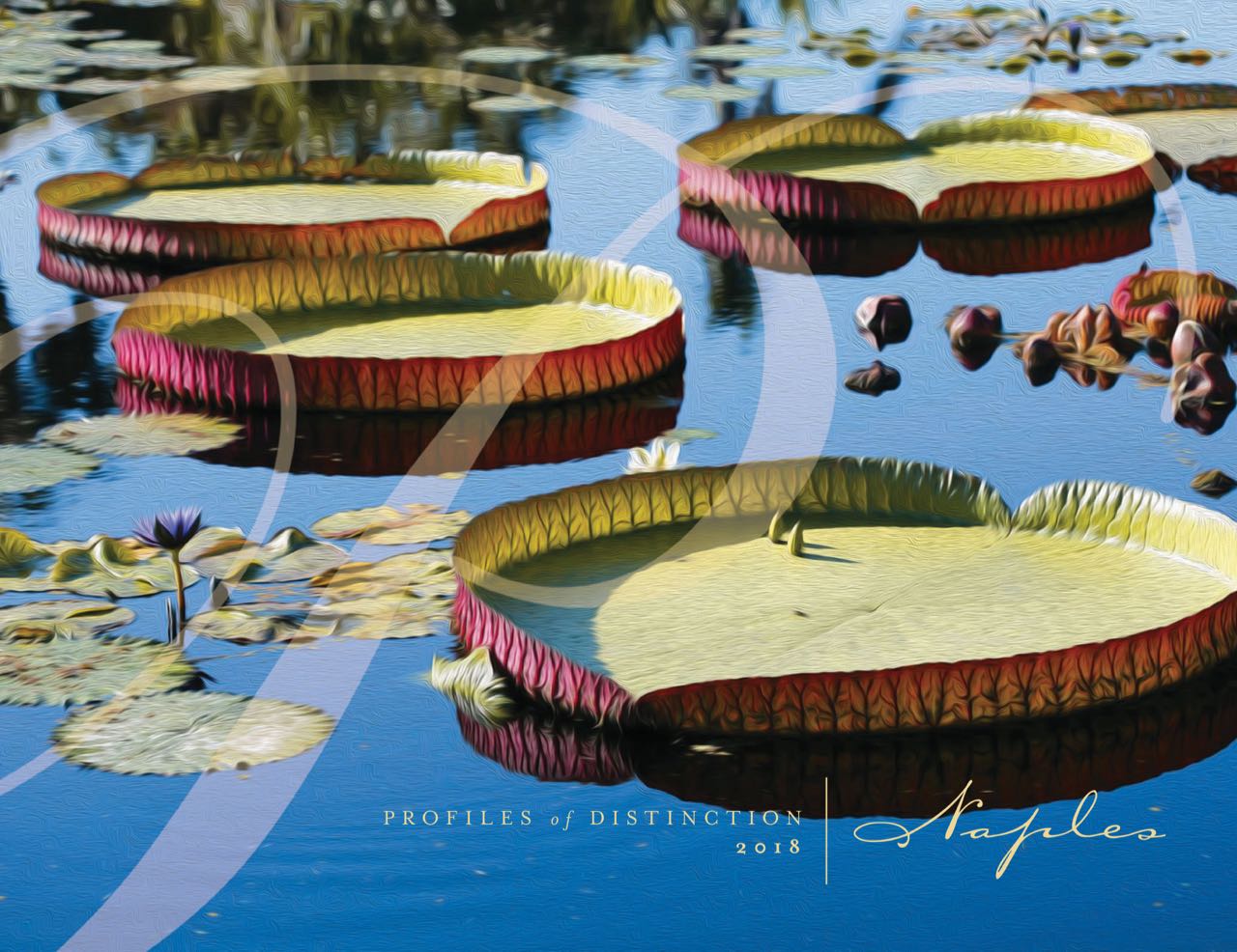 Profiles of Distinction