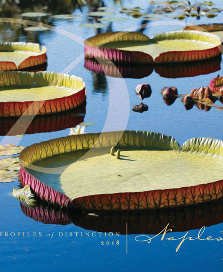 Profiles of Distinction